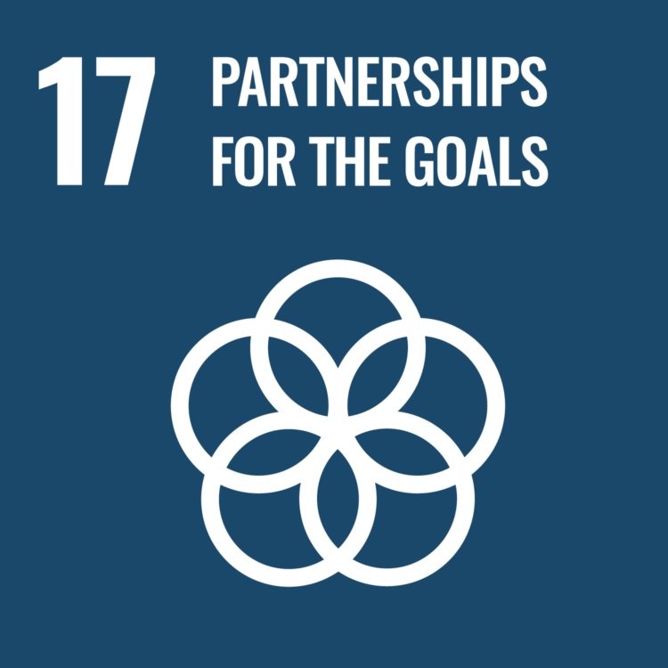 17 - Partnerships for the goals.