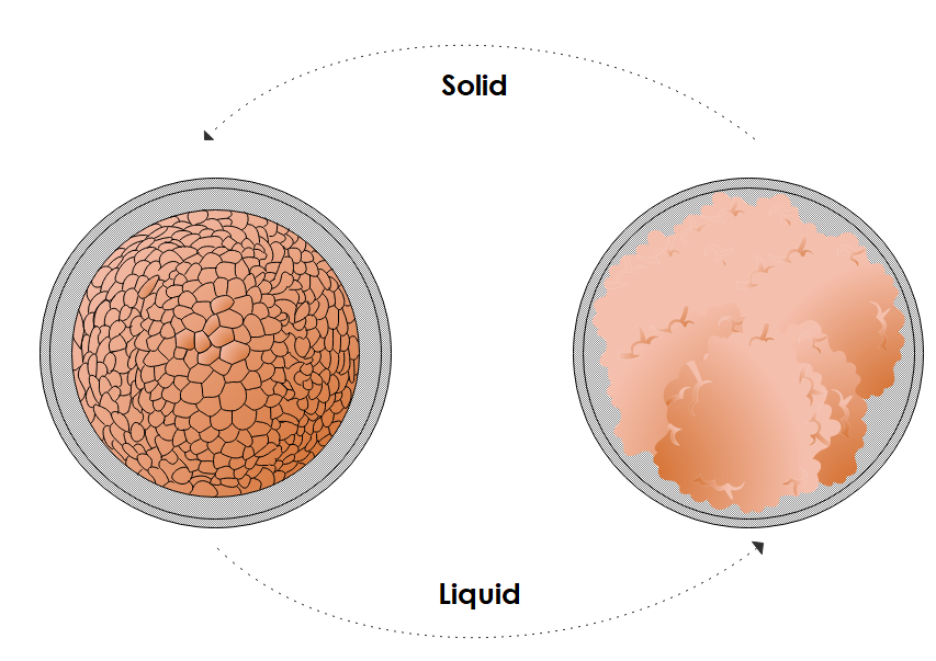 Solid - Liquid.